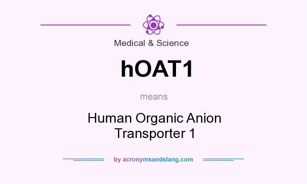 What does hOAT1 mean? It stands for Human Organic Anion Transporter 1