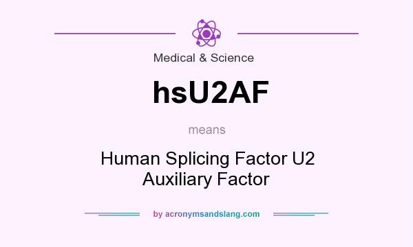 What does hsU2AF mean? It stands for Human Splicing Factor U2 Auxiliary Factor