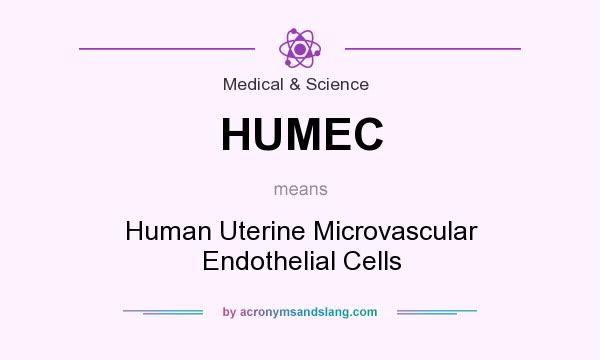 What does HUMEC mean? It stands for Human Uterine Microvascular Endothelial Cells