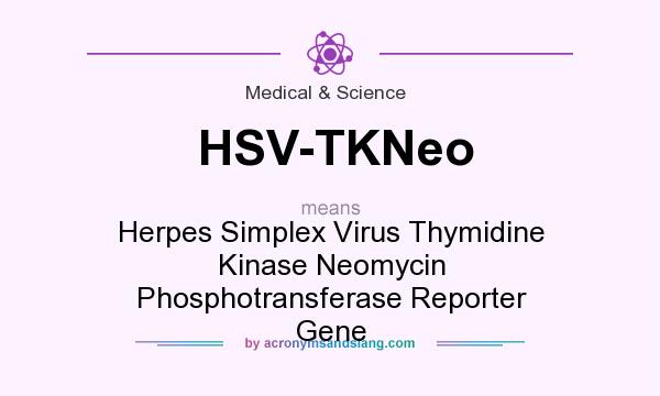 What does HSV-TKNeo mean? It stands for Herpes Simplex Virus Thymidine Kinase Neomycin Phosphotransferase Reporter Gene