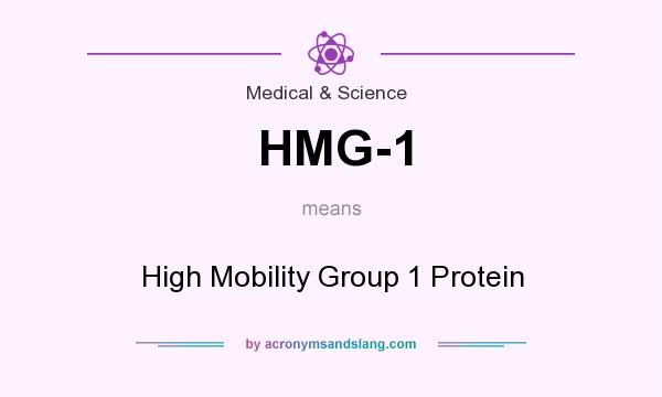 What does HMG-1 mean? It stands for High Mobility Group 1 Protein
