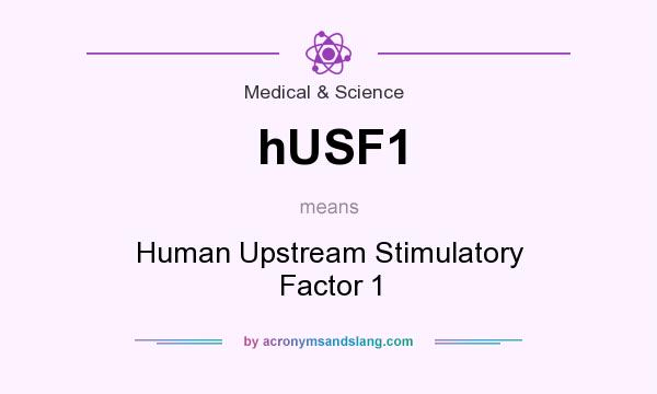 What does hUSF1 mean? It stands for Human Upstream Stimulatory Factor 1