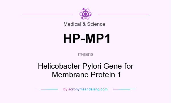 What does HP-MP1 mean? It stands for Helicobacter Pylori Gene for Membrane Protein 1