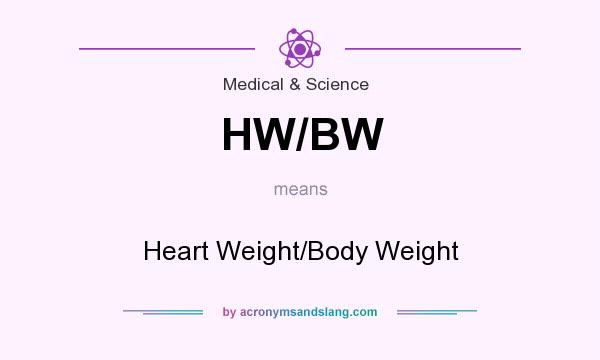 What does HW/BW mean? It stands for Heart Weight/Body Weight