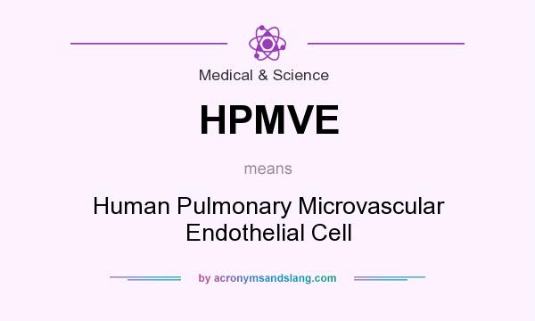 What does HPMVE mean? It stands for Human Pulmonary Microvascular Endothelial Cell