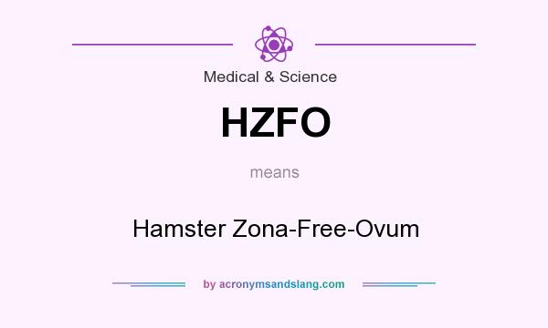 What does HZFO mean? It stands for Hamster Zona-Free-Ovum