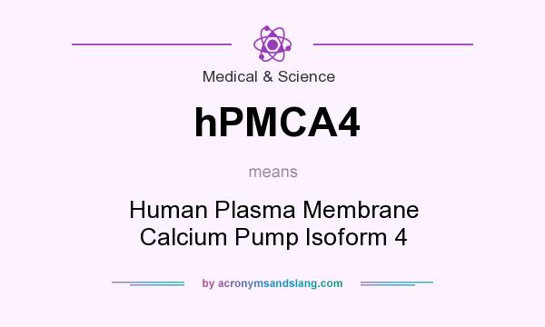 What does hPMCA4 mean? It stands for Human Plasma Membrane Calcium Pump Isoform 4