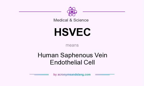 What does HSVEC mean? It stands for Human Saphenous Vein Endothelial Cell