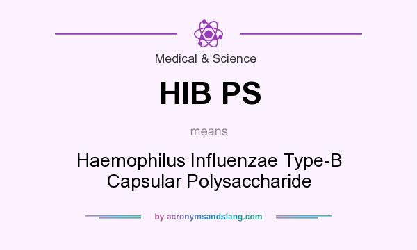 What does HIB PS mean? It stands for Haemophilus Influenzae Type-B Capsular Polysaccharide