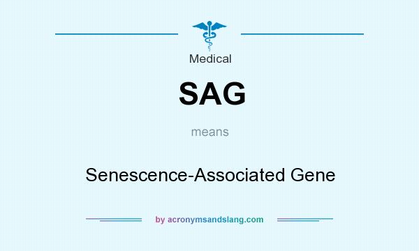 What does SAG mean? It stands for Senescence-Associated Gene