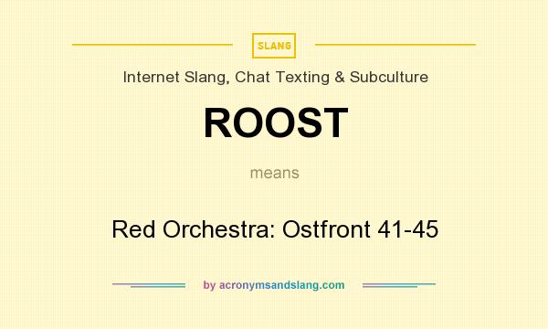 What does ROOST mean? It stands for Red Orchestra: Ostfront 41-45