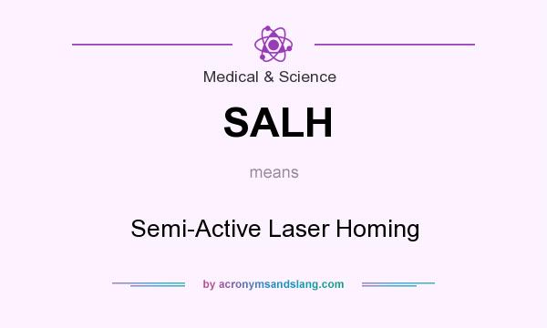 What does SALH mean? It stands for Semi-Active Laser Homing