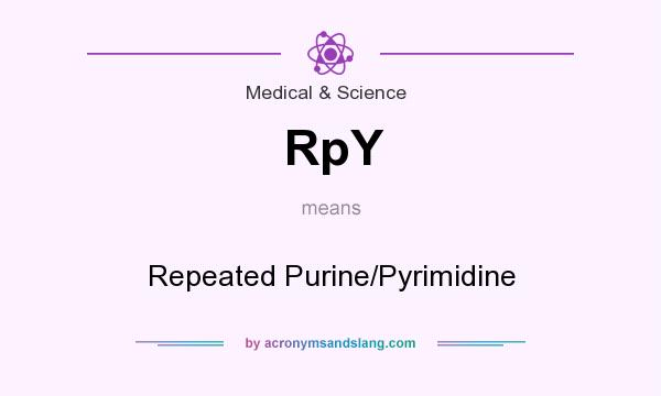 What does RpY mean? It stands for Repeated Purine/Pyrimidine