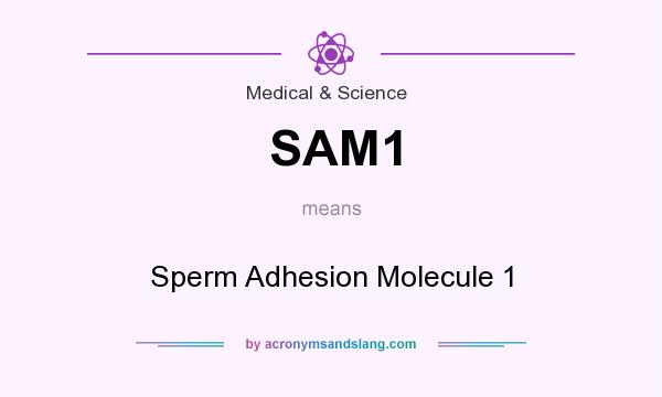 What does SAM1 mean? It stands for Sperm Adhesion Molecule 1
