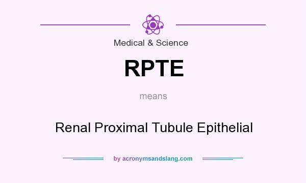 What does RPTE mean? It stands for Renal Proximal Tubule Epithelial