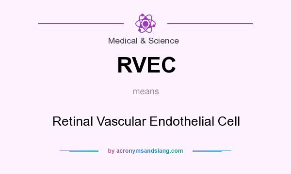 What does RVEC mean? It stands for Retinal Vascular Endothelial Cell