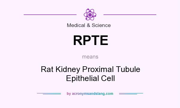 What does RPTE mean? It stands for Rat Kidney Proximal Tubule Epithelial Cell
