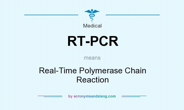 What does RT-PCR mean? It stands for Real-Time Polymerase Chain Reaction