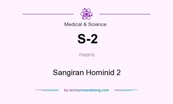 What does S-2 mean? It stands for Sangiran Hominid 2