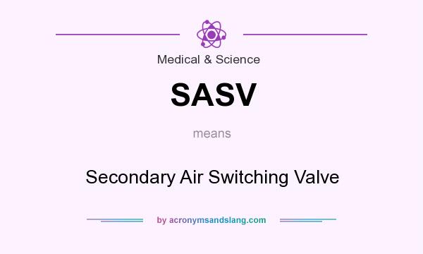What does SASV mean? It stands for Secondary Air Switching Valve