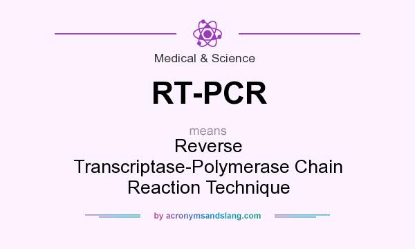 What does RT-PCR mean? It stands for Reverse Transcriptase-Polymerase Chain Reaction Technique