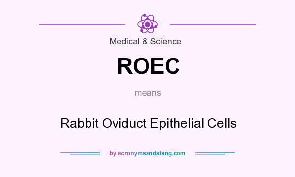 What does ROEC mean? It stands for Rabbit Oviduct Epithelial Cells