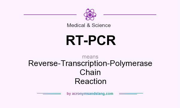 What does RT-PCR mean? It stands for Reverse-Transcription-Polymerase Chain Reaction