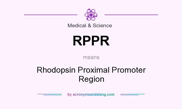 What does RPPR mean? It stands for Rhodopsin Proximal Promoter Region