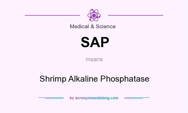 What does SAP mean? It stands for Shrimp Alkaline Phosphatase