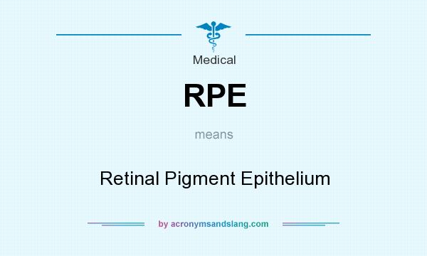 What does RPE mean? It stands for Retinal Pigment Epithelium