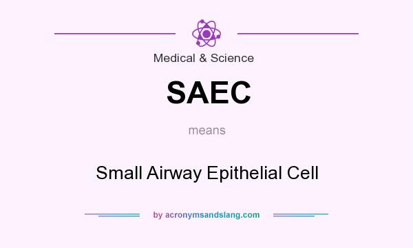 What does SAEC mean? It stands for Small Airway Epithelial Cell