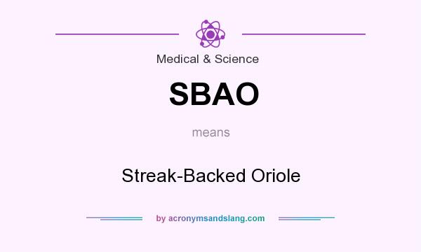 What does SBAO mean? It stands for Streak-Backed Oriole