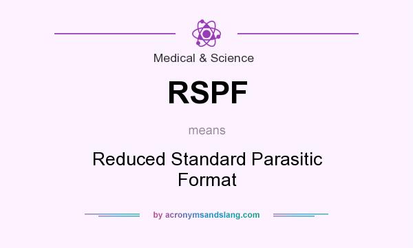 What does RSPF mean? It stands for Reduced Standard Parasitic Format