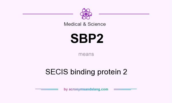 What does SBP2 mean? It stands for SECIS binding protein 2