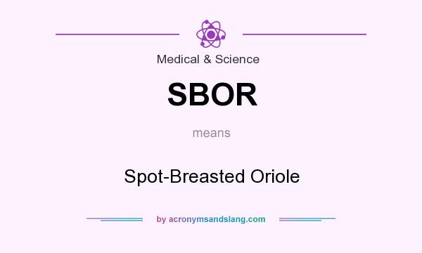What does SBOR mean? It stands for Spot-Breasted Oriole