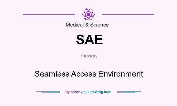 What does SAE mean? It stands for Seamless Access Environment