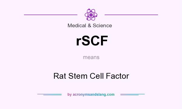 What does rSCF mean? It stands for Rat Stem Cell Factor