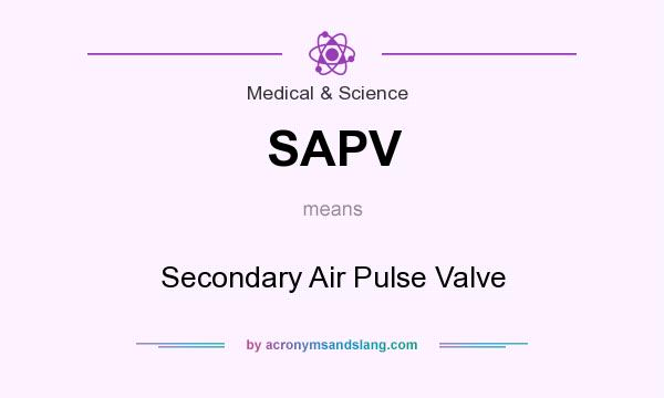 What does SAPV mean? It stands for Secondary Air Pulse Valve