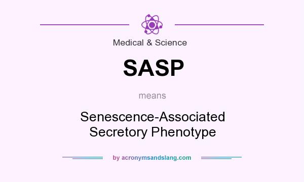 What does SASP mean? It stands for Senescence-Associated Secretory Phenotype