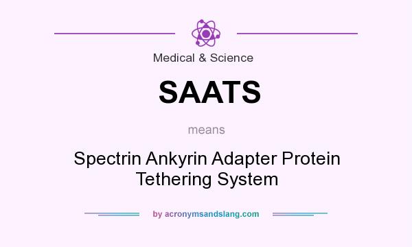 What does SAATS mean? It stands for Spectrin Ankyrin Adapter Protein Tethering System