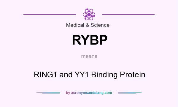 What does RYBP mean? It stands for RING1 and YY1 Binding Protein
