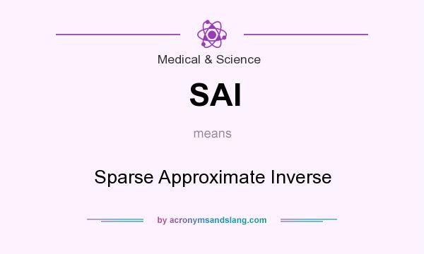 What does SAI mean? It stands for Sparse Approximate Inverse