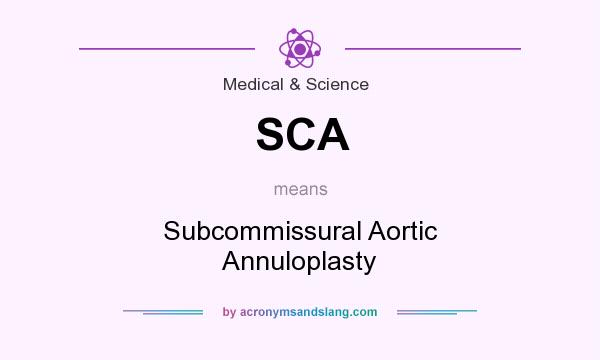 What does SCA mean? It stands for Subcommissural Aortic Annuloplasty