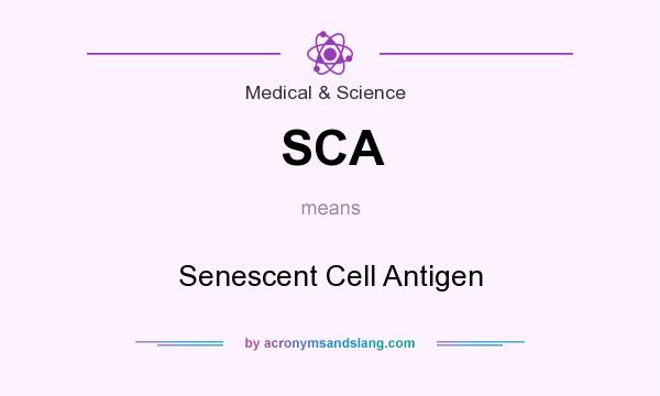 What does SCA mean? It stands for Senescent Cell Antigen