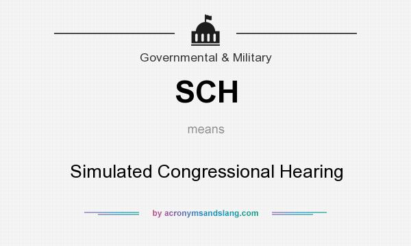 What does SCH mean? It stands for Simulated Congressional Hearing