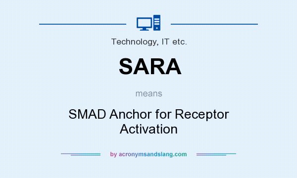 What does SARA mean? It stands for SMAD Anchor for Receptor Activation