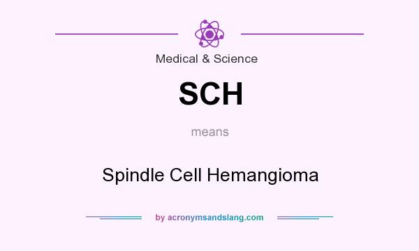 What does SCH mean? It stands for Spindle Cell Hemangioma