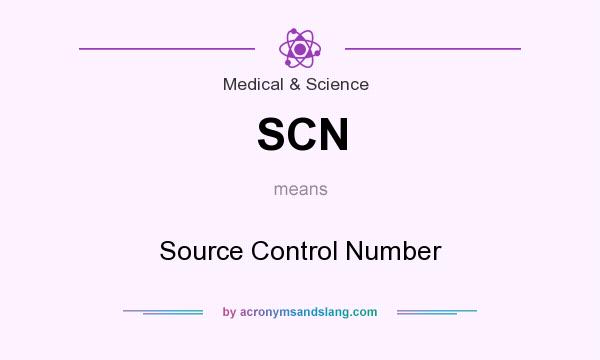 What does SCN mean? It stands for Source Control Number