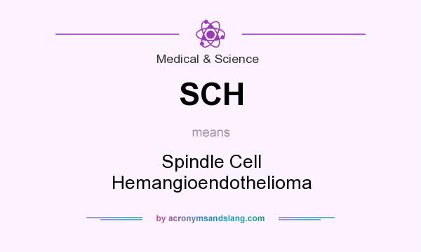What does SCH mean? It stands for Spindle Cell Hemangioendothelioma