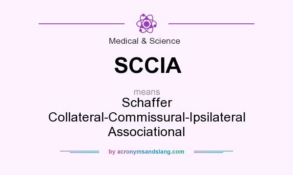 What does SCCIA mean? It stands for Schaffer Collateral-Commissural-Ipsilateral Associational